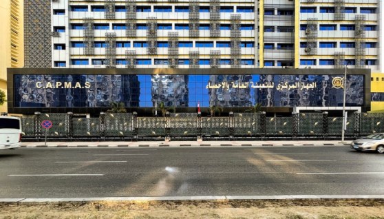 الجهاز المركزي للتعبئة العامة والإحصاء