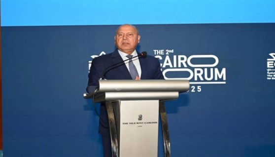  الفريق كامل الوزير، نائب رئيس مجلس الوزراء للتنمية الاقتصادية