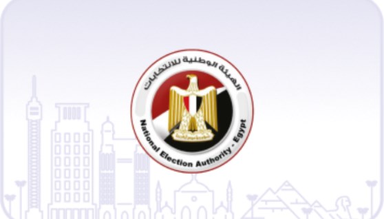 الهيئة الوطنية للانتخابات