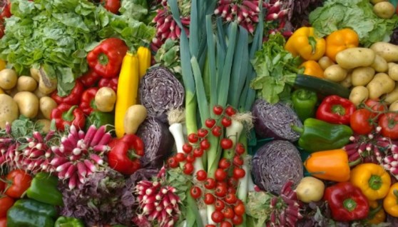 المواد الغذائية