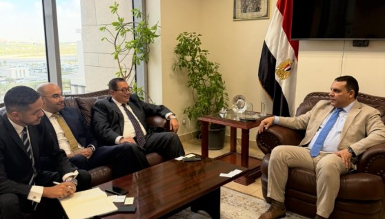 التمثيل التجاري المصري