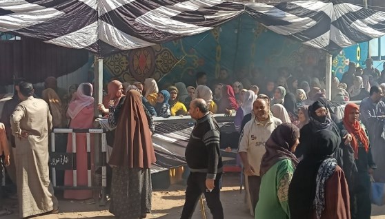  اللجان الانتخابية 