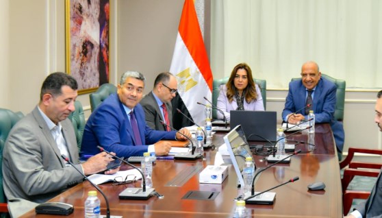 وزير الكهرباء مع وزيرة التنمية المحلية