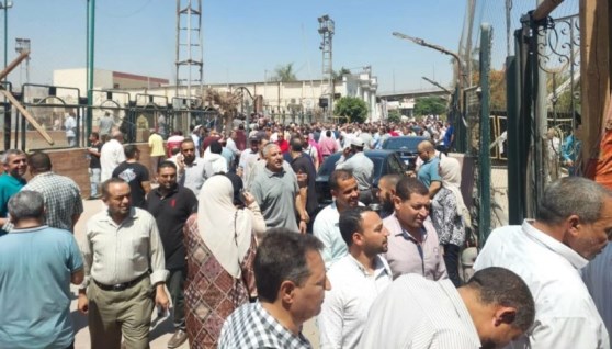 موظفي شركات الكهرباء