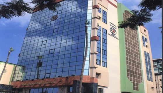 شركة شمال الدلتا لتوزيع الكهرباء