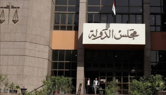 مجلس الدولة