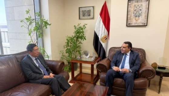 جانب من لقاء الجانب المصري والسنغافوري 