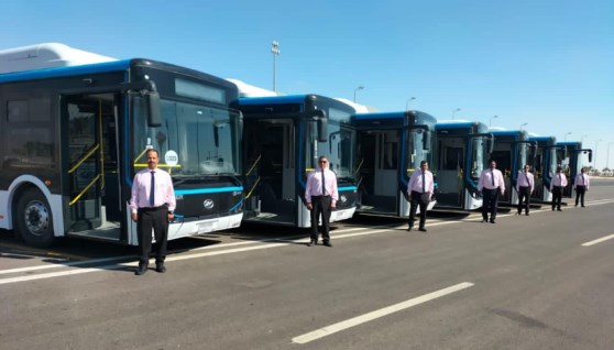 صورة باصات شركة أكتا - صورة أرشيفية 