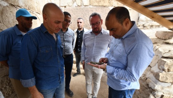 جانب من الاكتشاف الأثري الجديد