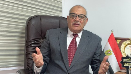  الدكتور عبدالعزيز السيد