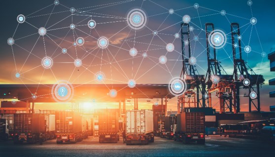  الصادرات الرقمية المصرية