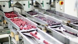 صناعات غذائية