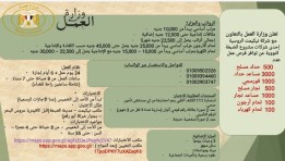 وظائف مشروع الضبعة النووي