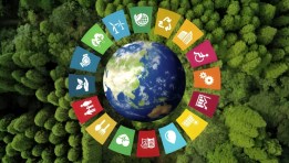 التنمية المستدامة