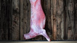 سعر لحم غزال اليوم