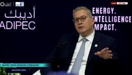 وزير البترول 