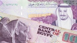 سعر الريال السعودي مقابل الجنيه المصري 