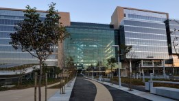 ستاندرد بنك