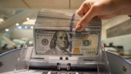 الدولار الأمريكي 