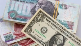 سعر الدولار 