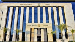 وزارة العمل المصرية 