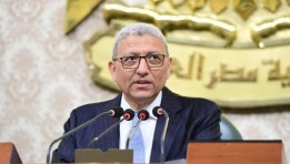  المستشار أحمد سعد