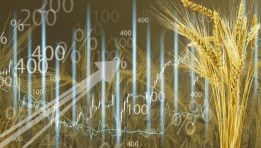 الاقتصاد الغذائي