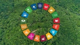 أهداف التنمية المستدامة