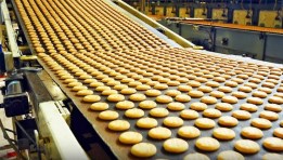 الصناعات الغذائية