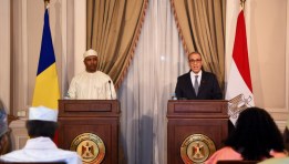 وزير الخارجية خلال مشاركته باللجنة المصرية التشادية