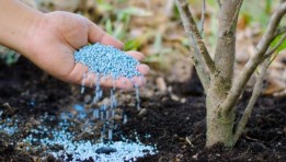 الصناعات الكيماوية