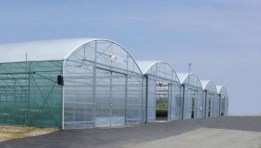 الصوب الزراعية