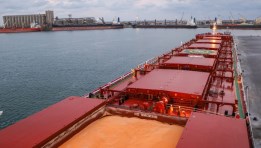 هيئة ميناء دمياط