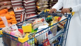 المواد الغذائية