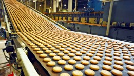 أحد المصانع الغذائية في مصر