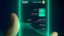 الهوية الرقمية