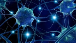 الخلايا العصبية