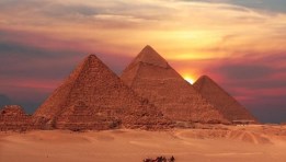 جانب من البعثة 