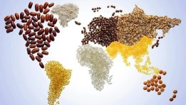 الزراعة والغذاء