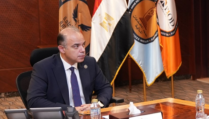 الدكتور محمد فريد، رئيس الهيئة العامة للرقابة المالية