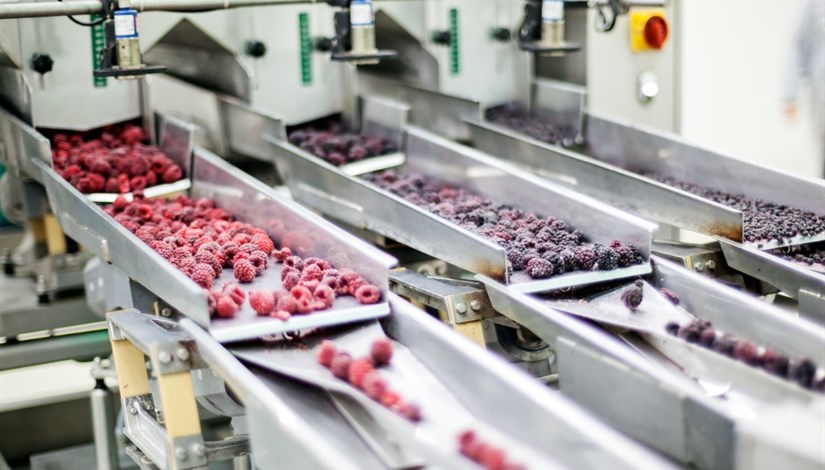 صناعات غذائية