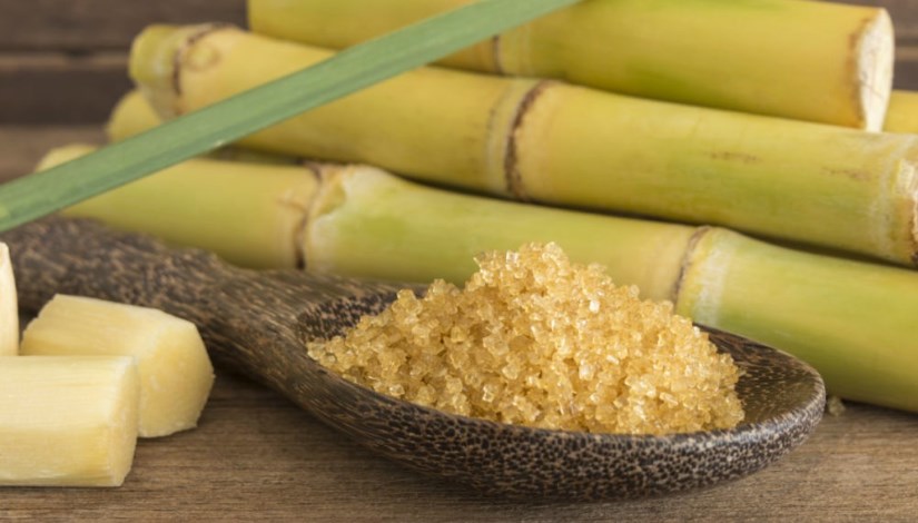 قصب السكر الخام
