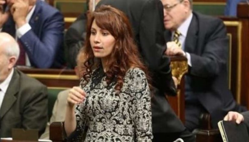 النائبة دينا عبد العزيز