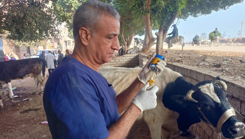 جانب من الفحص والعلاج