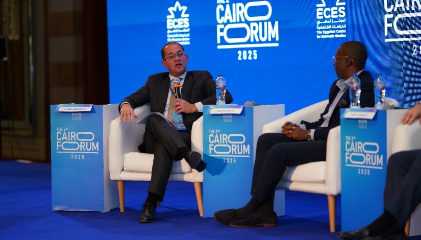 أحمد كجوك وزير المالية