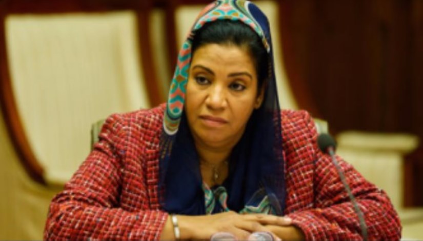 النائبة نشوى الديب