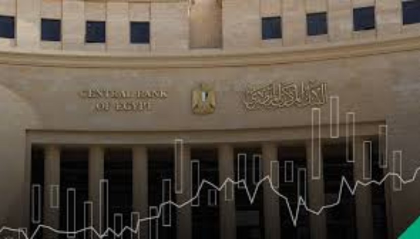 البنك المركزي المصري 
