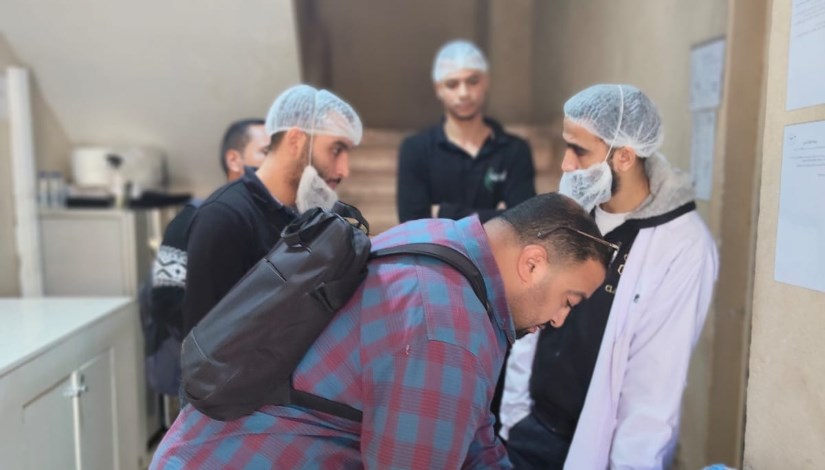 وزارة العمل المصرية 