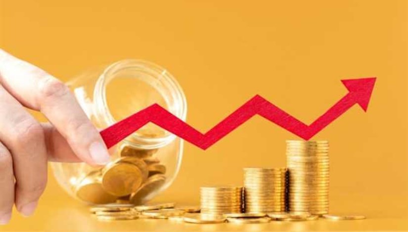 الاستثمار في شهادات الادخار 