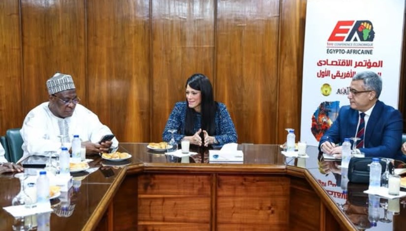 وزيرة التخطيط 